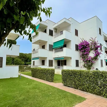 The In L'Escala