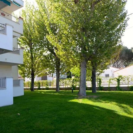 Apartment The In *